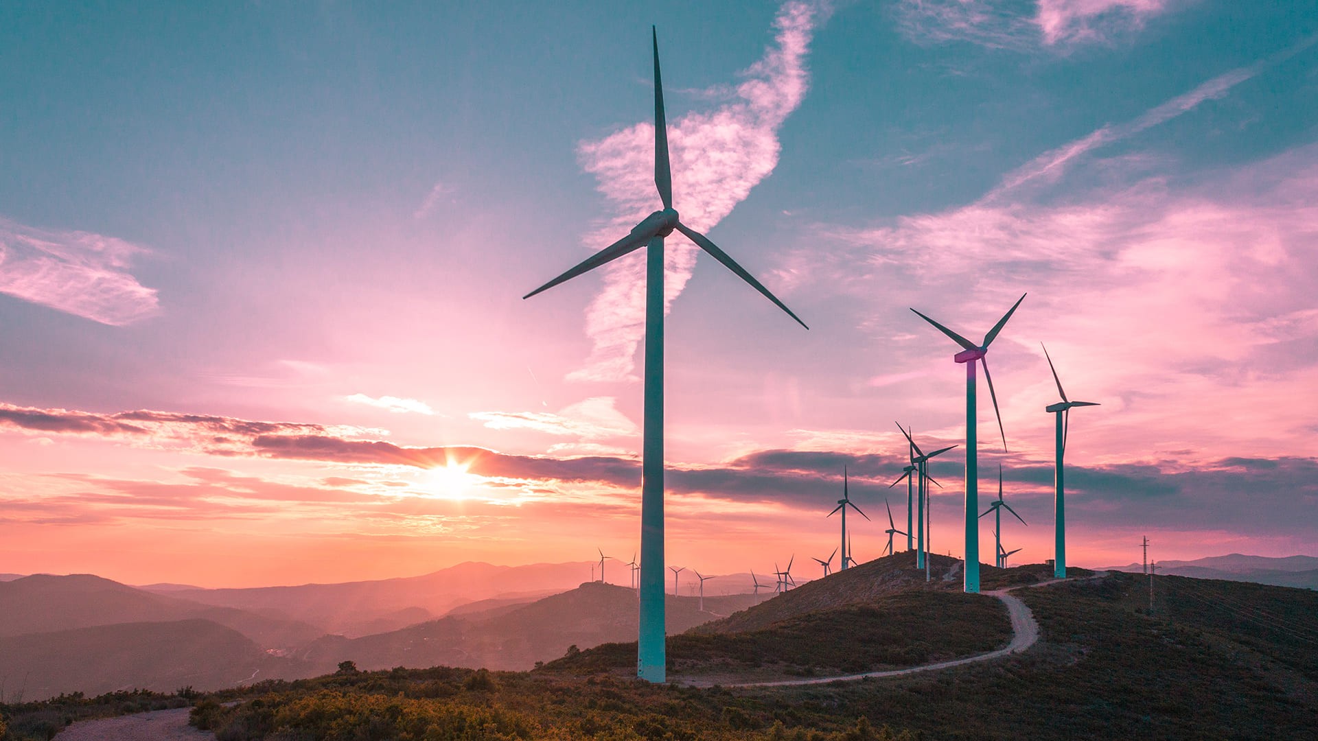 Renewable energy industry